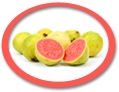 concentrated guava juice suppliers usa
