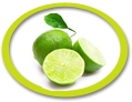 concentrated lime juice suppliers usa