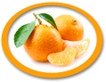 concentrated mandarin juice suppliers usa