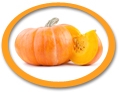 concentrated pumpkin juice suppliers usa