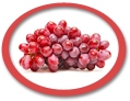 concentrated red grape juice suppliers usa